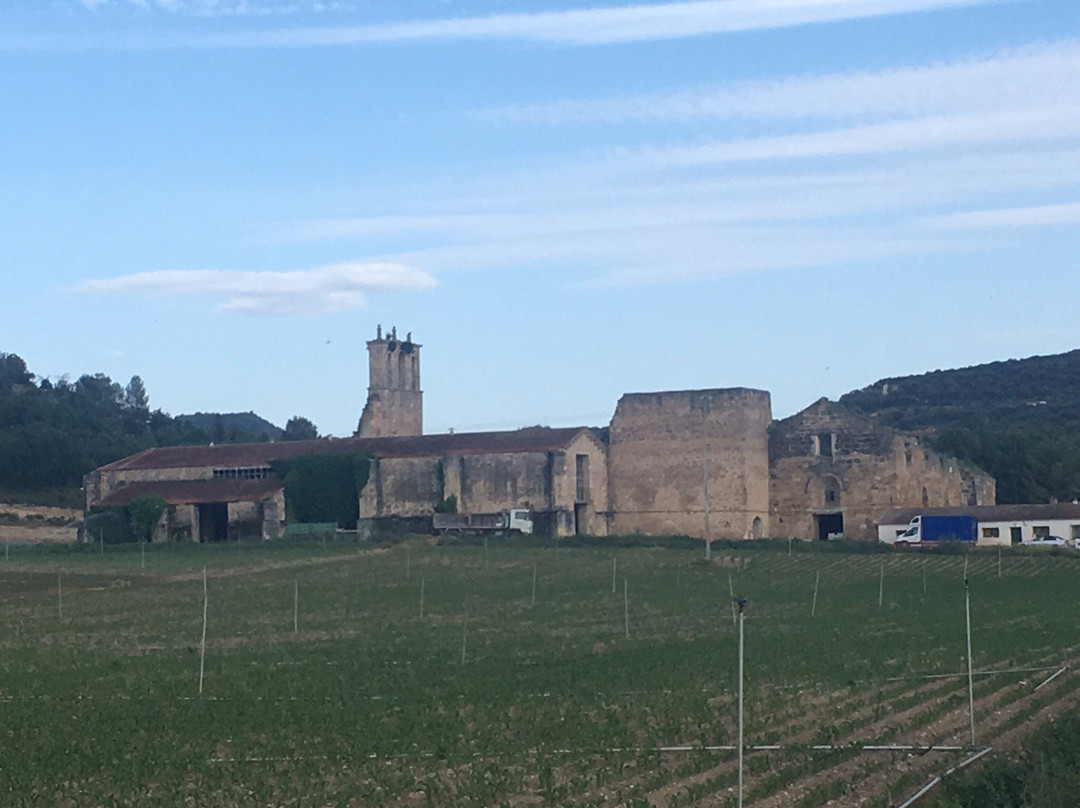 Monasterio de Santa Marí-a de Ovila景点图片