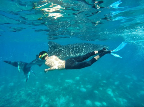 OTG Travel & Tours-奥斯洛布必去景点