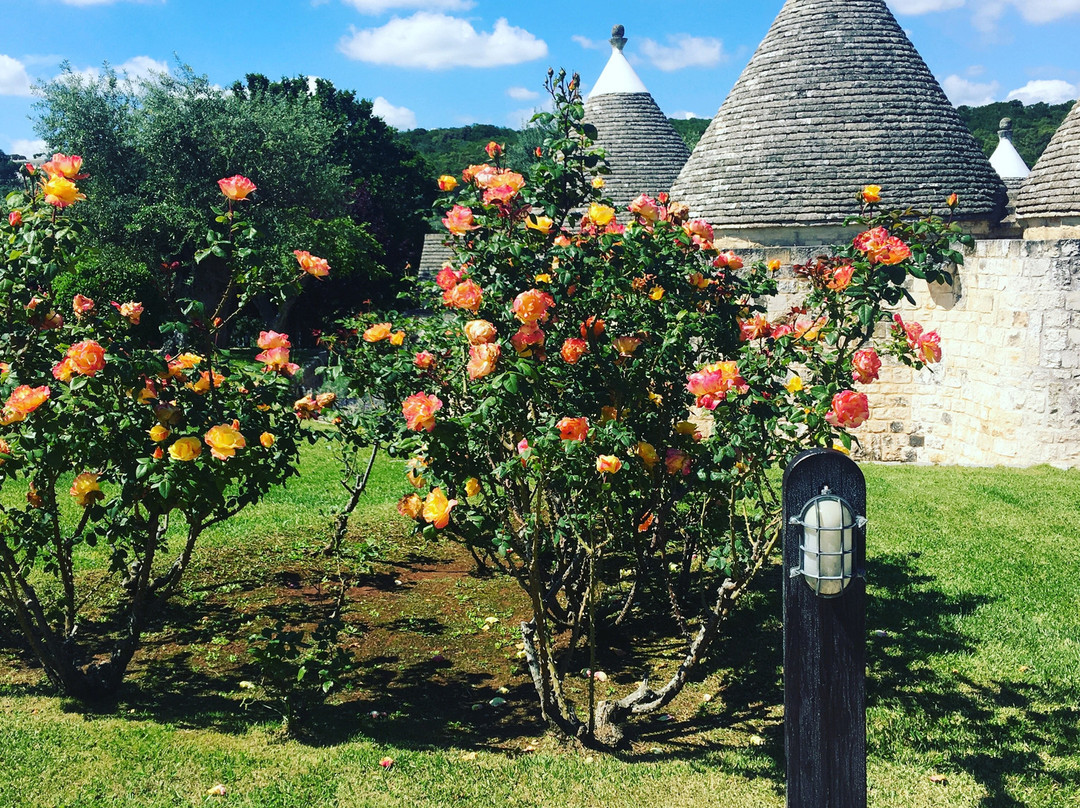 伊尔帕明托度假酒店主图