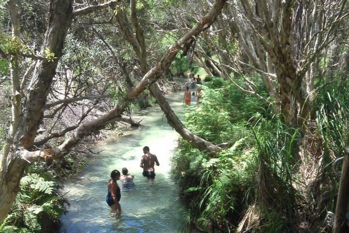 Bushwacker Ecotours-布里斯班必去景点