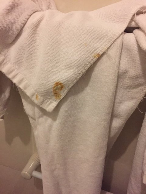唐志强学校酒店主图