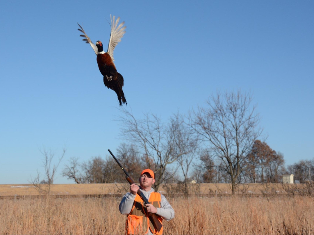 SHOW ME BIRDS HUNTING RESORT-巴克斯特斯普林斯必去景点