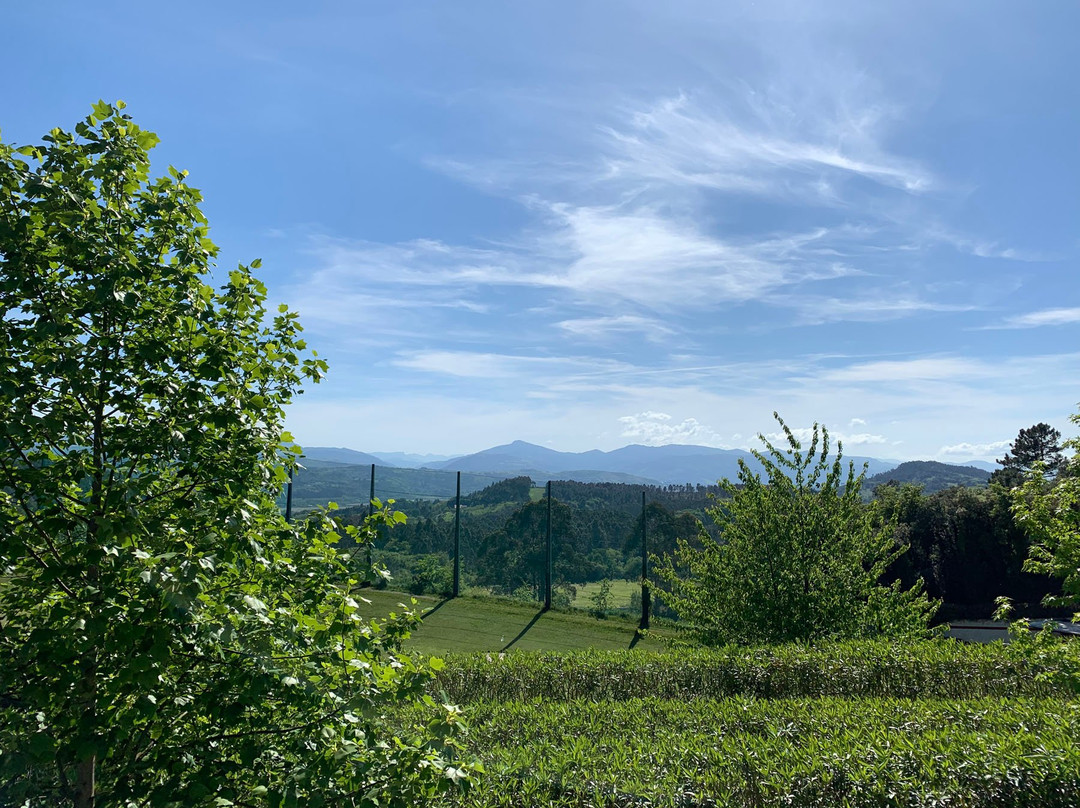 乌尔哥蒂皇宫酒店主图