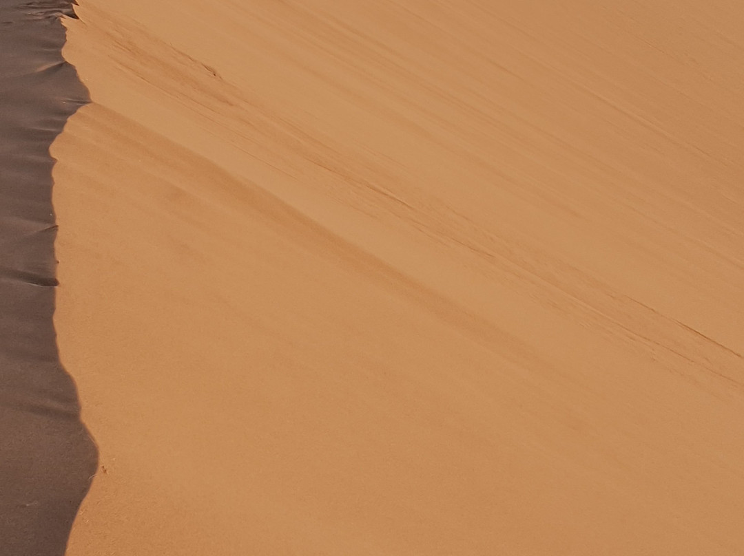 Sahara Trend-迈哈米德必去景点