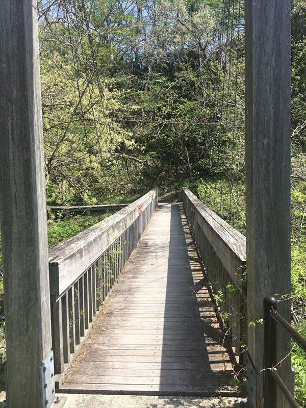 Jigokudani Walking Path-大崎市必去景点
