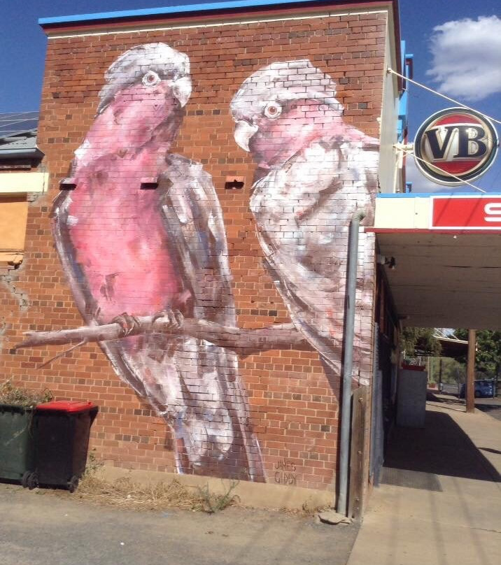 Bourbah Street Murals景点图片