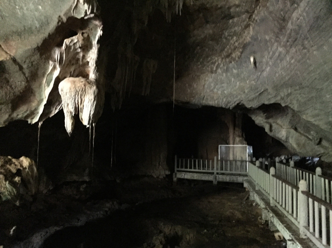 Gua Kelawar (Bat Cave)-兰卡威必去景点