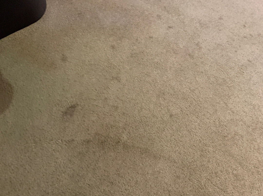 Orca Inn Suites主图