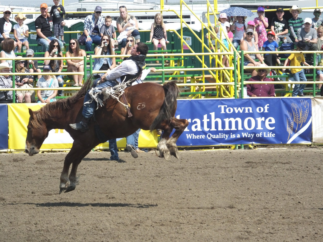 Strathmore Stampede-Strathmore必去景点