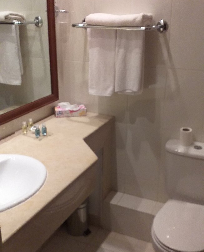 Hotel le Consul主图