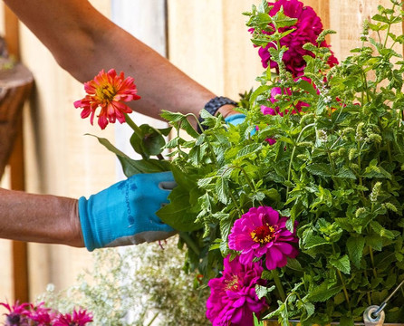 Lochland Botanicals-Campbellville必去景点