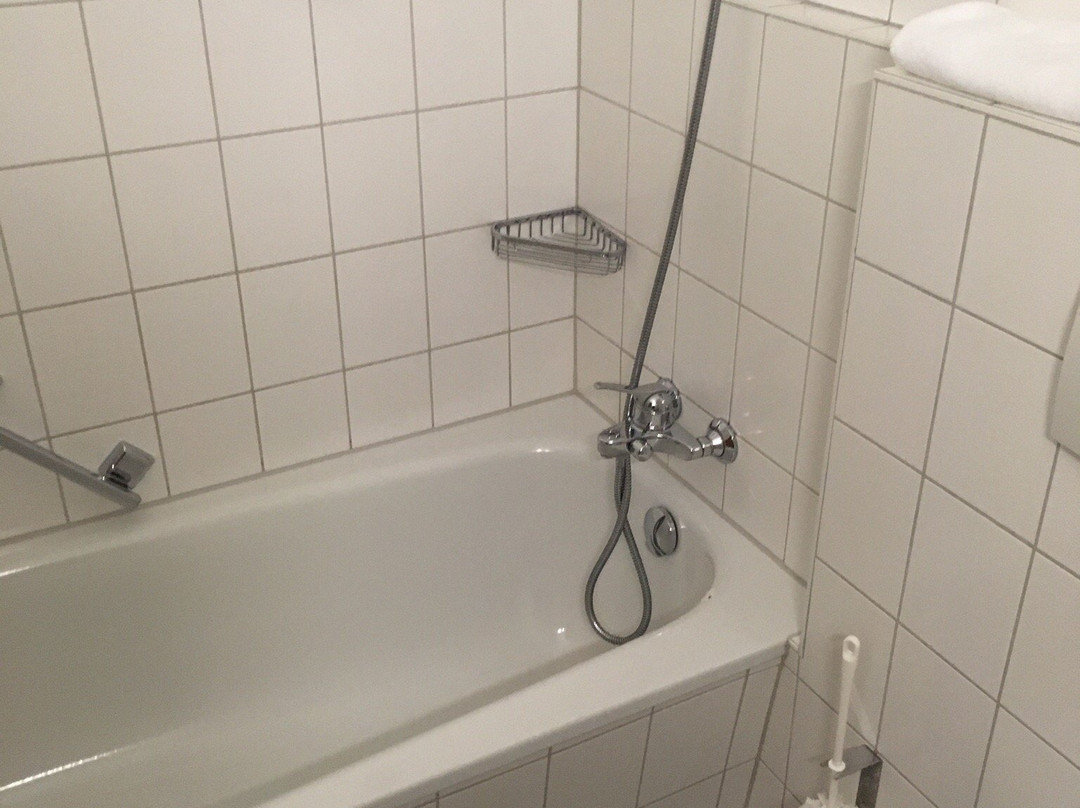 Hotel Herzog Heinrich主图