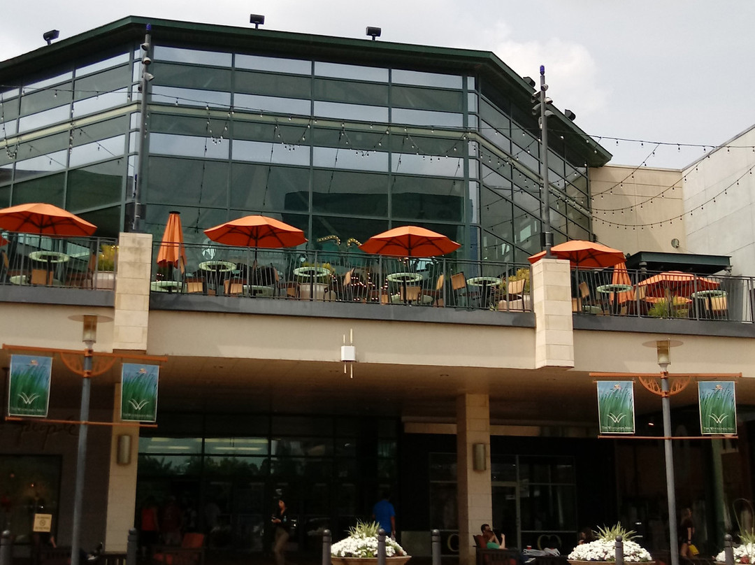 The Woodlands Mall-伍德兰兹必去景点