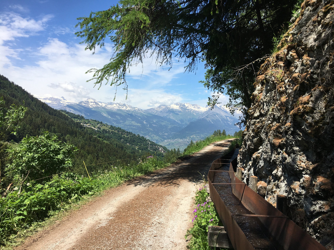 Bisse de Vex景点图片