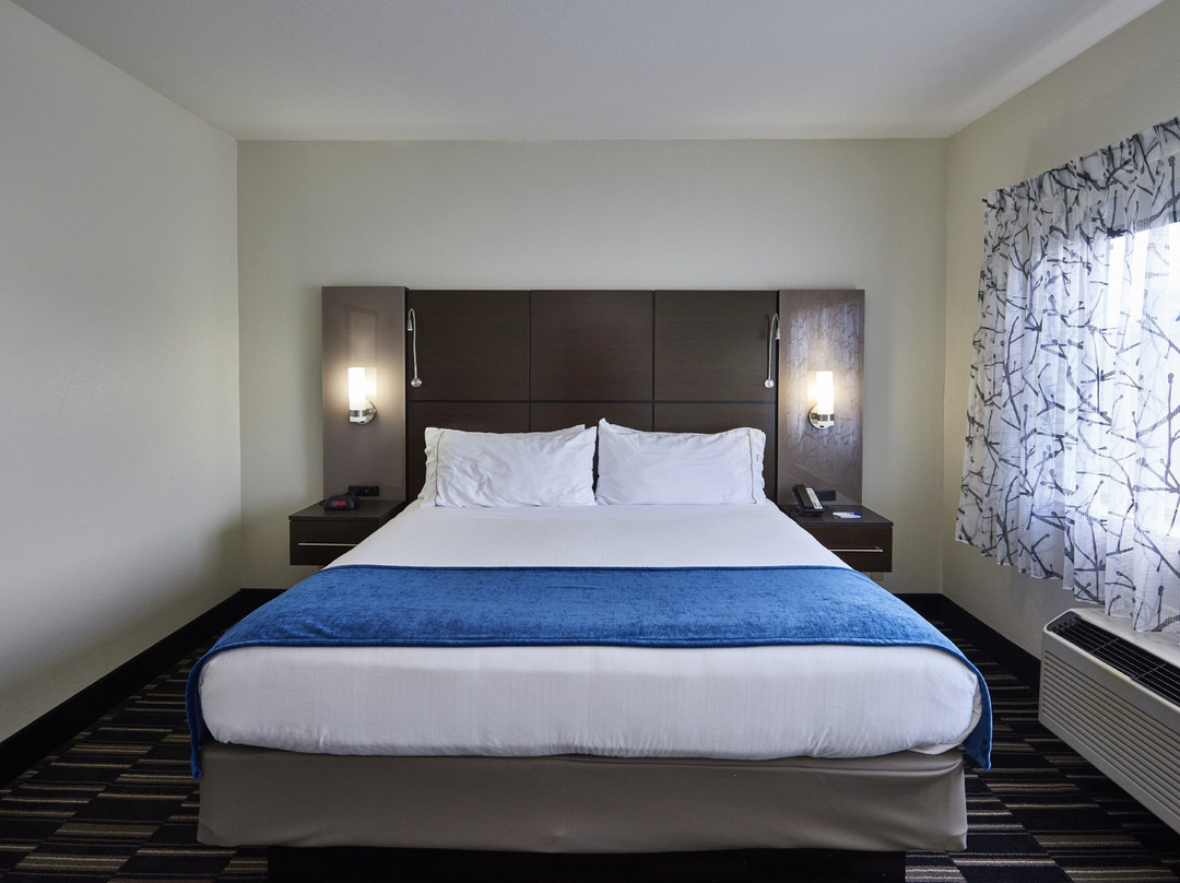 Holiday Inn Express & Suites Birmingham South - Pelham By IHG主图