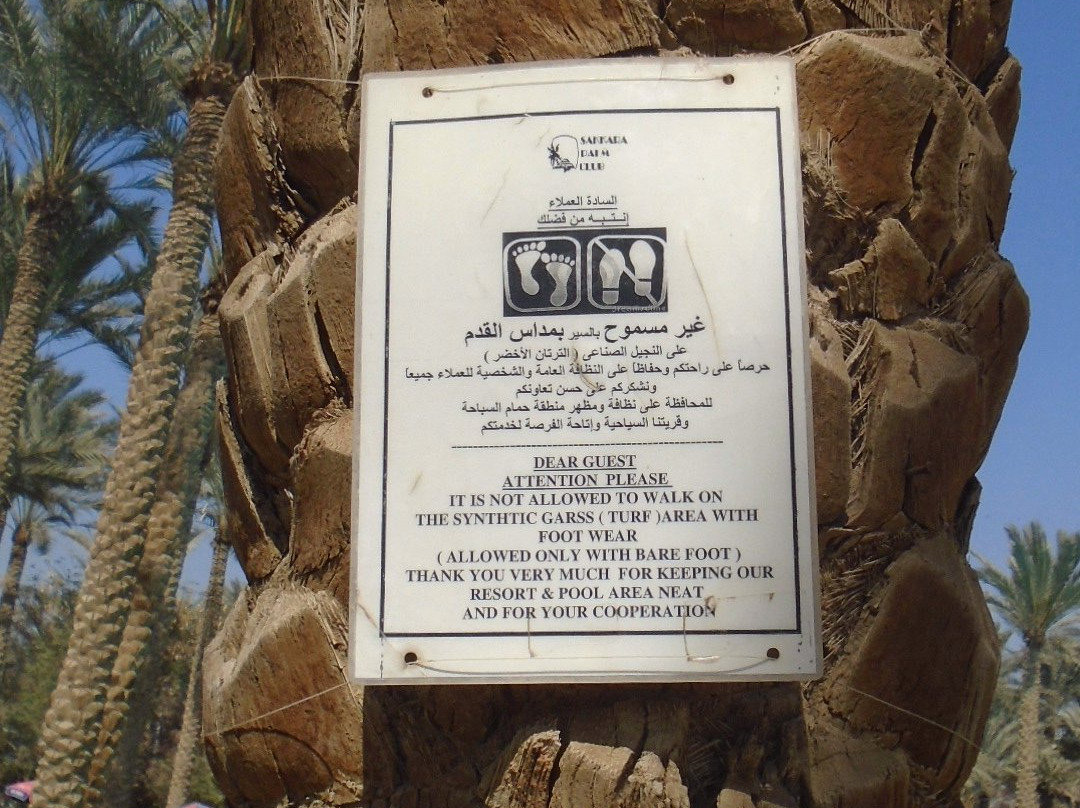 Sakkara Country Club主图