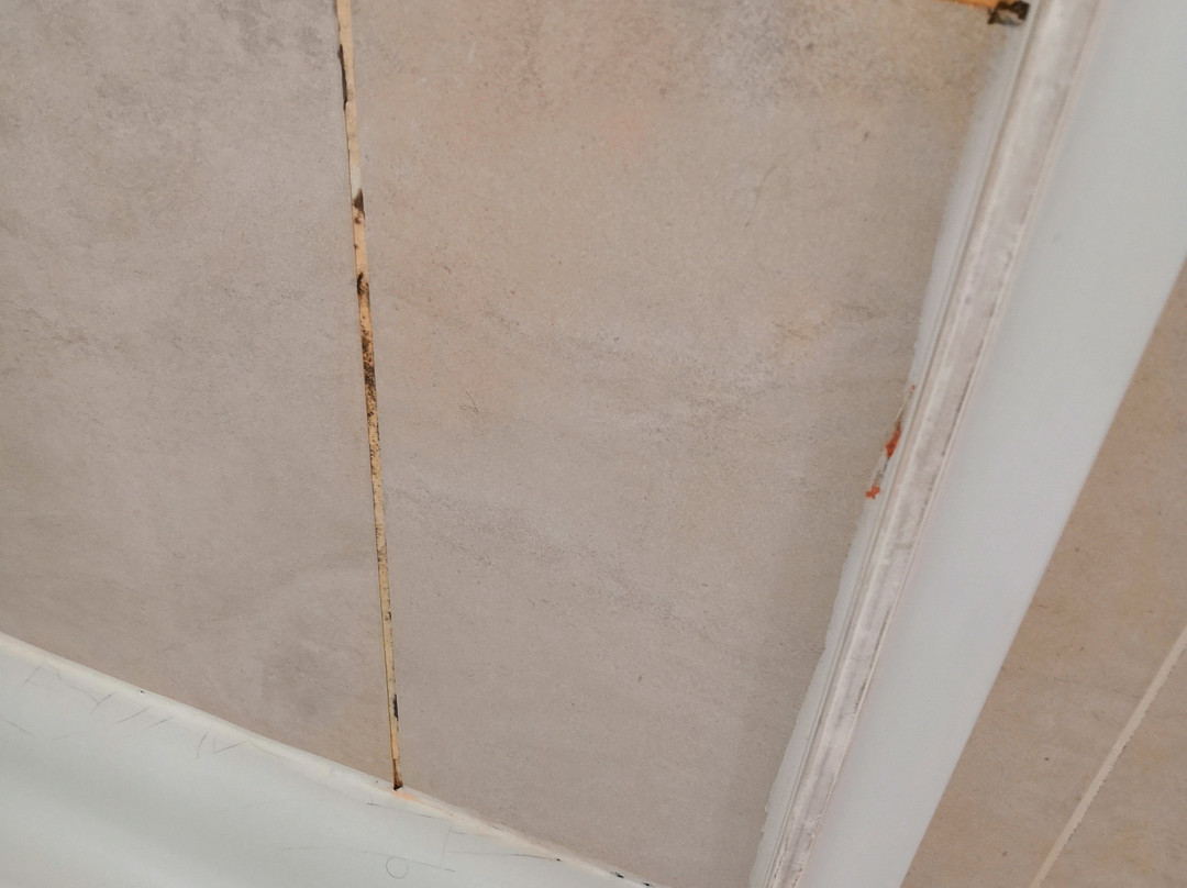 Fiera Milano Hotel主图