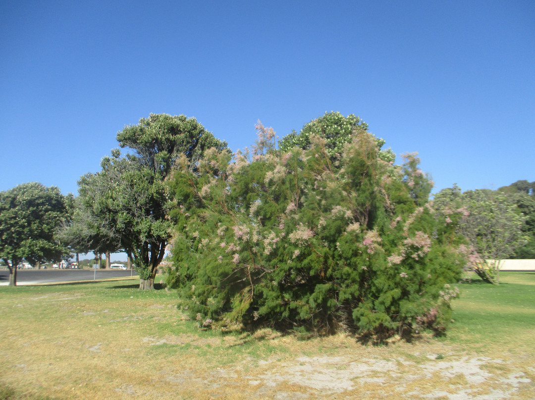 Kingston SE Beach-金斯顿镇必去景点