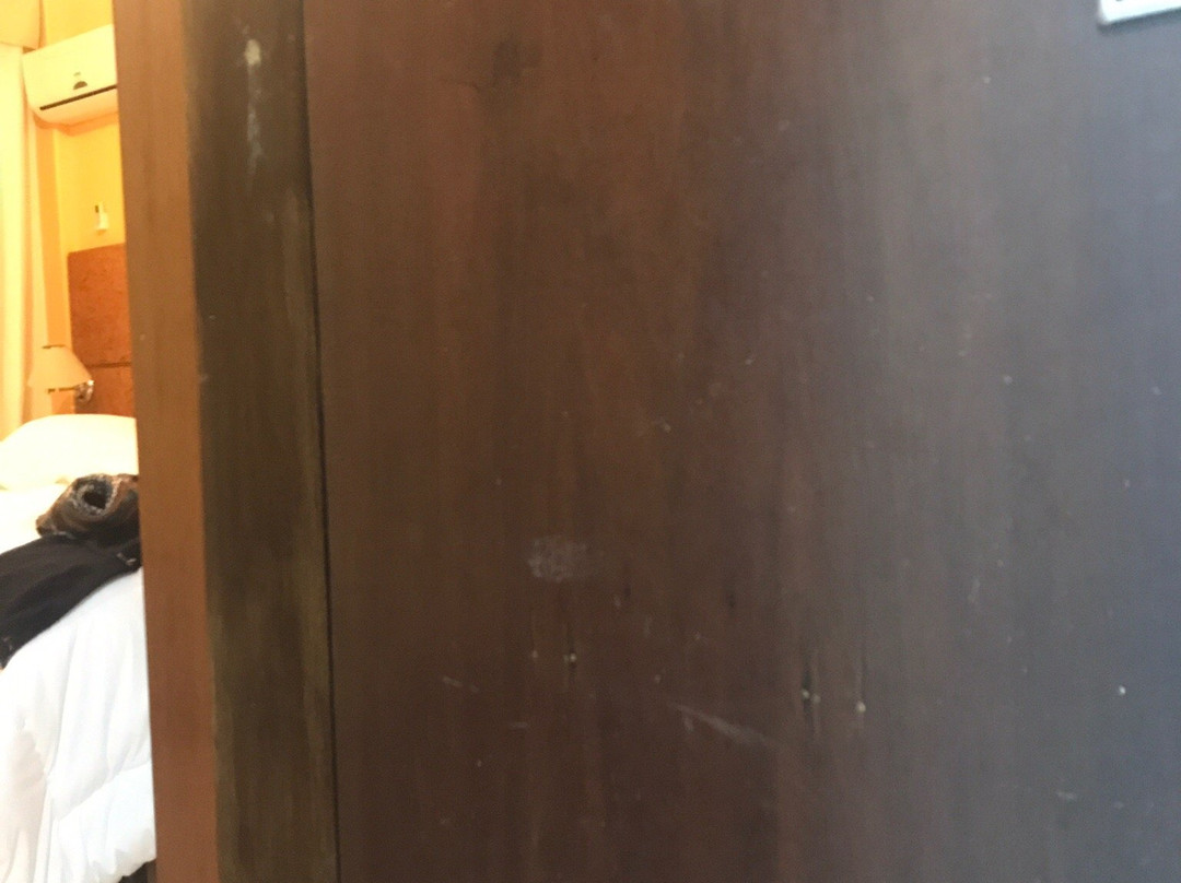 San Silvestre Palace Hotel主图