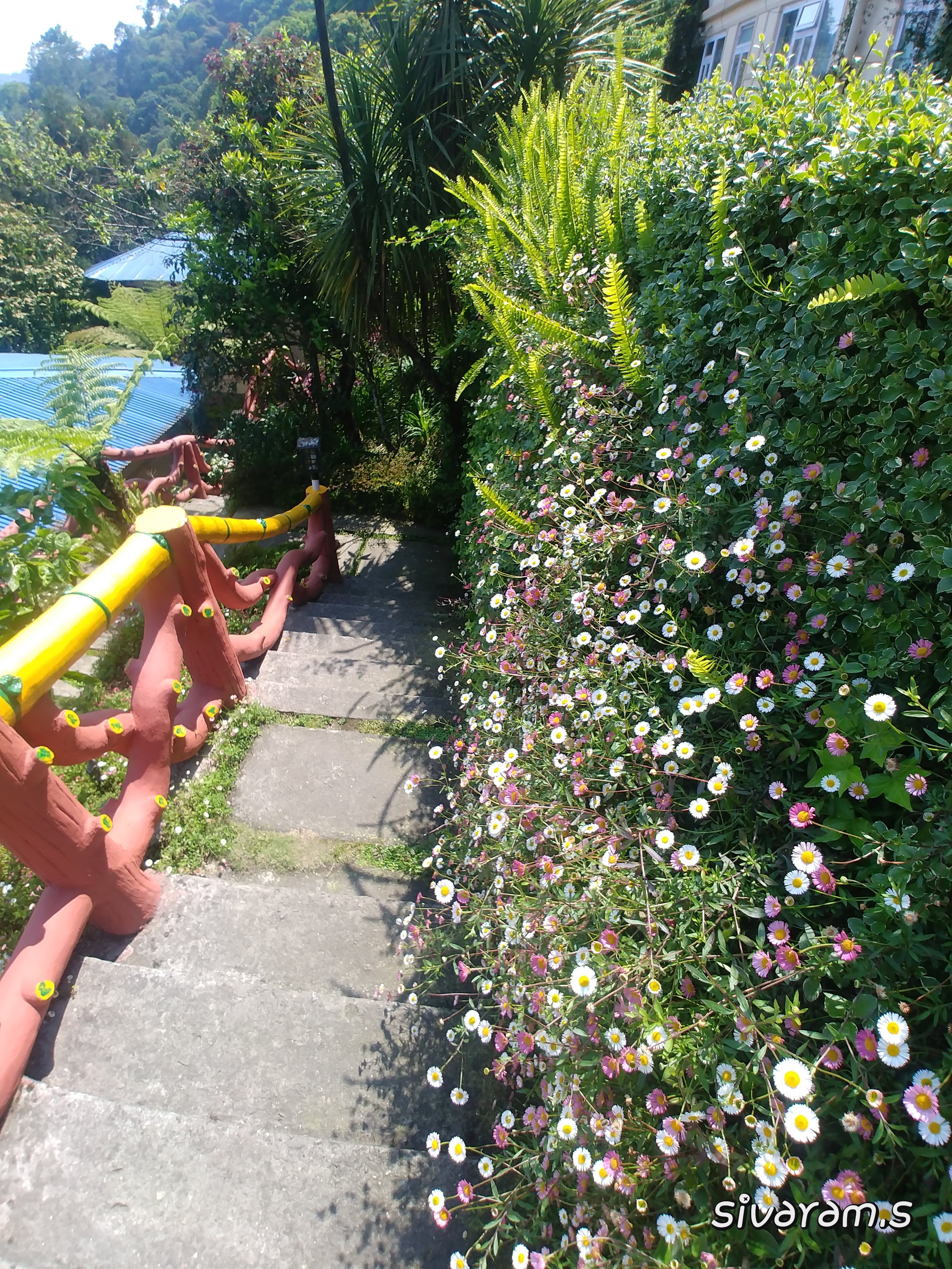 Ghonday Village Resort-浴室