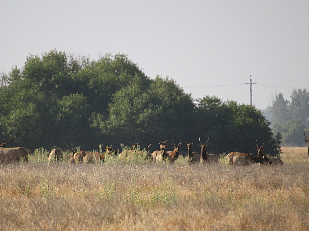 圣路易斯国家野生动物保护区-洛斯巴诺斯必去景点