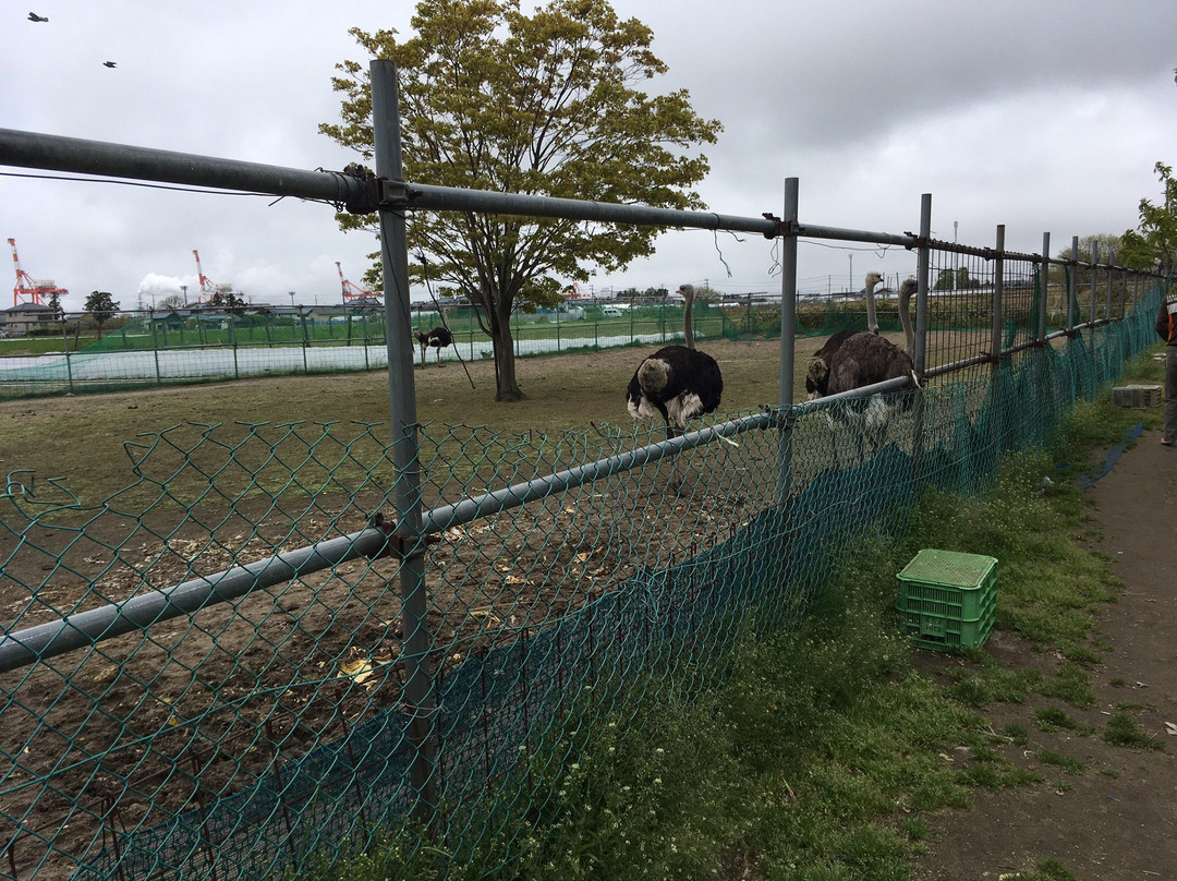 Toyosaka Michi-no-Eki-新泻市必去景点