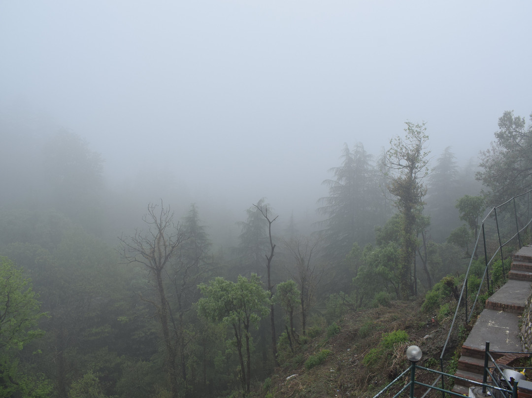 Seegreen Lodges主图