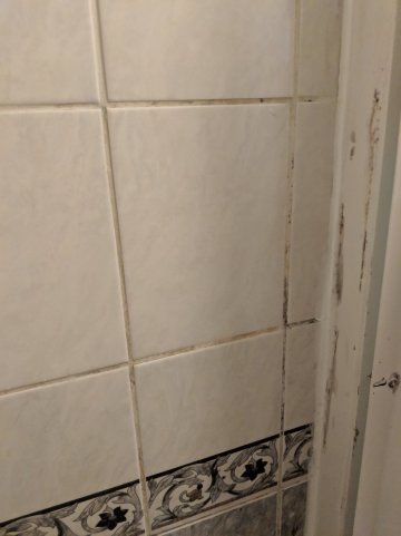 温布弗斯特酒店-官方