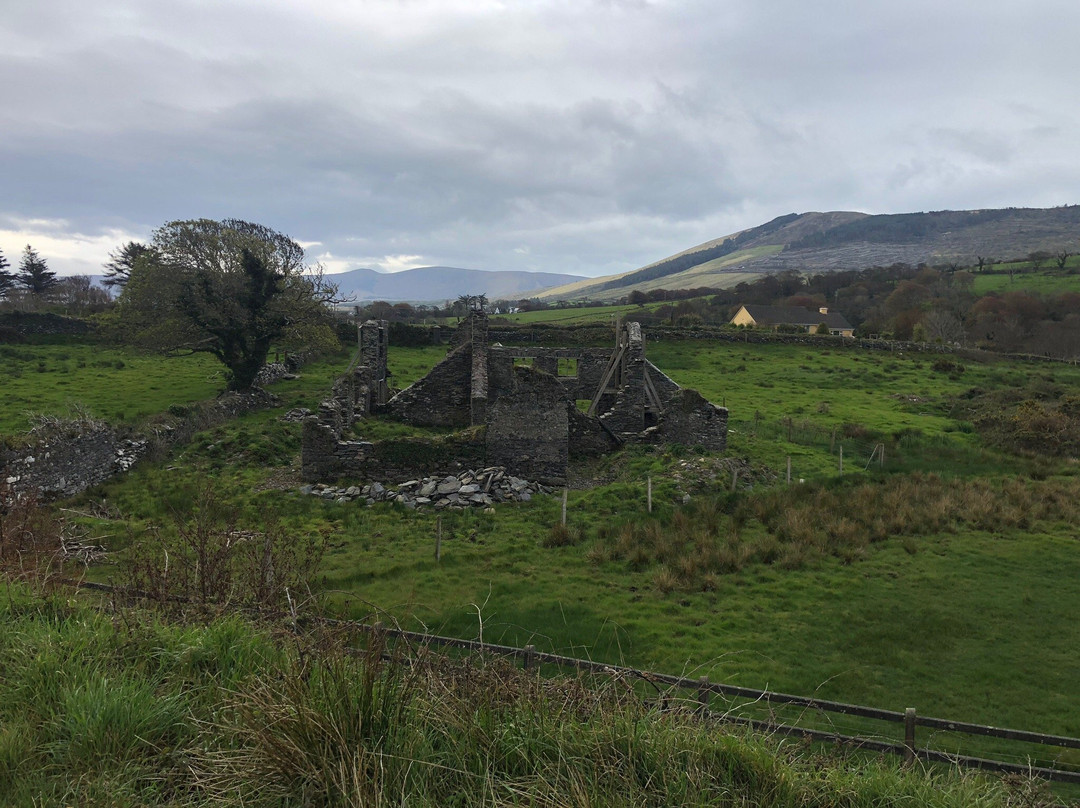 Daniel O'Connell's Birth Place景点图片