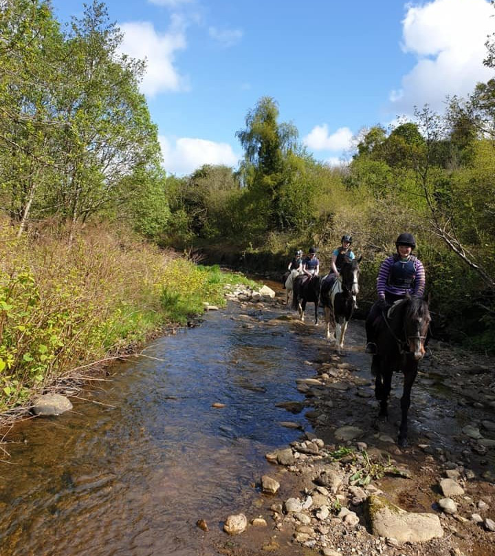 City of Derry Equestrian Centre-德里必去景点