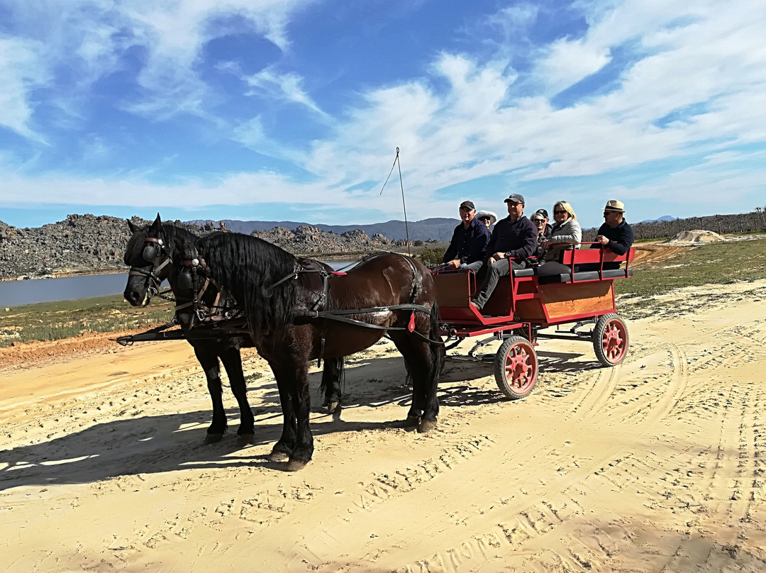 Op-Die-Berg Horse and Carriage Rides景点图片