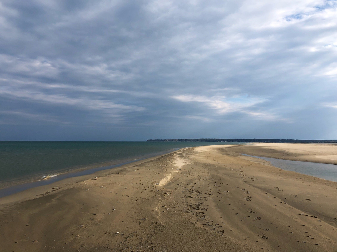 La Plage du Rouet de La Palme-La Palme必去景点
