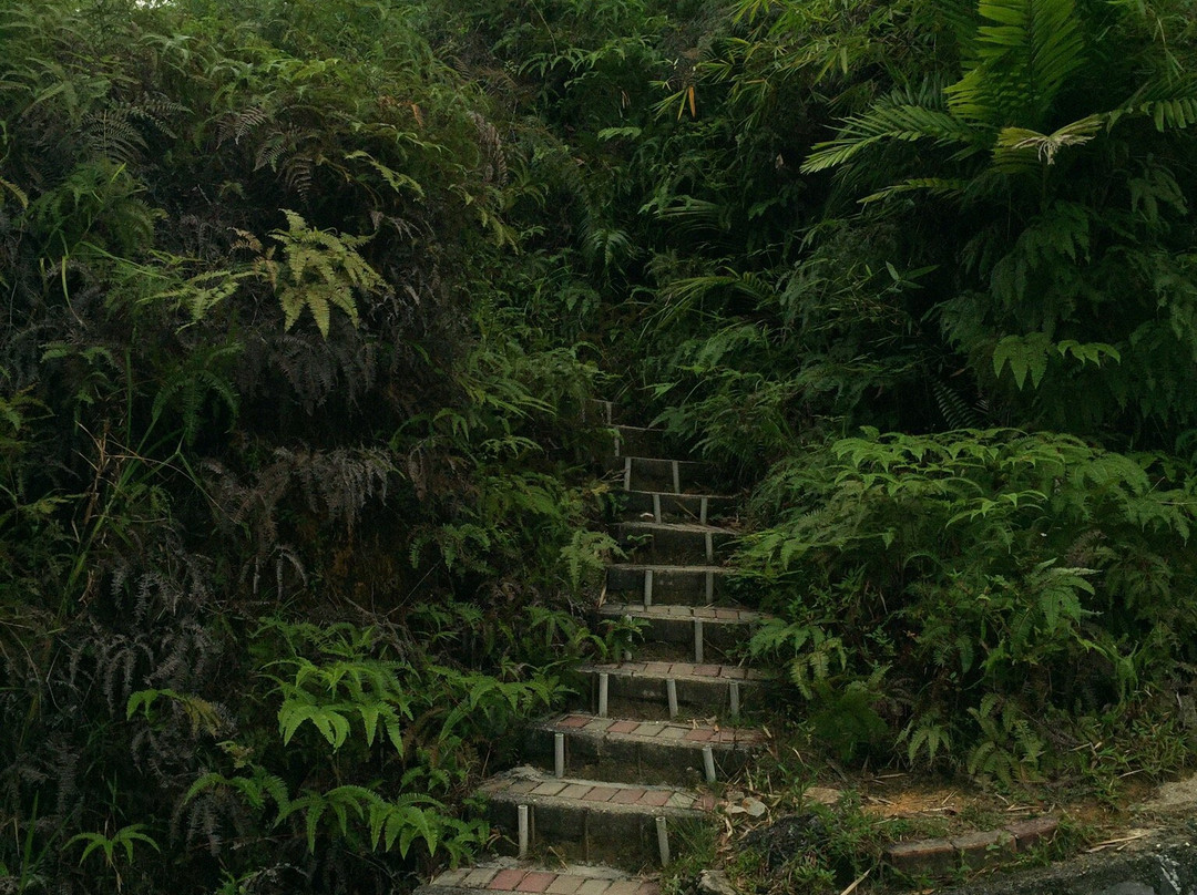 Bukit Kledang-怡保必去景点