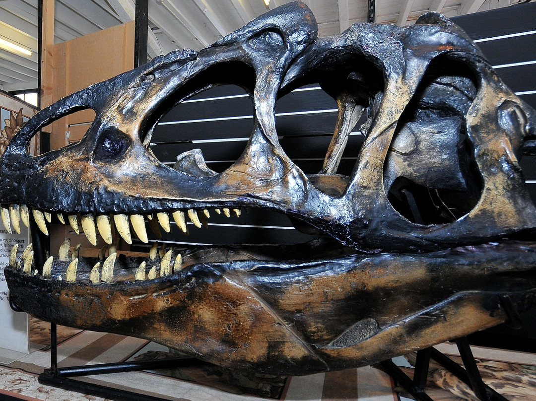 Dinostar - Hull's Dinosaur Experience景点图片