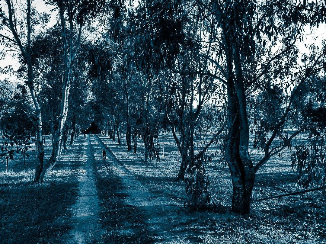 Holistic Soulscape-比奇沃思必去景点