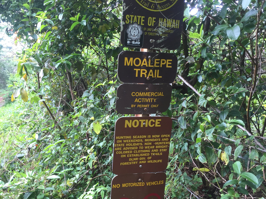 Moalepe Trail景点图片