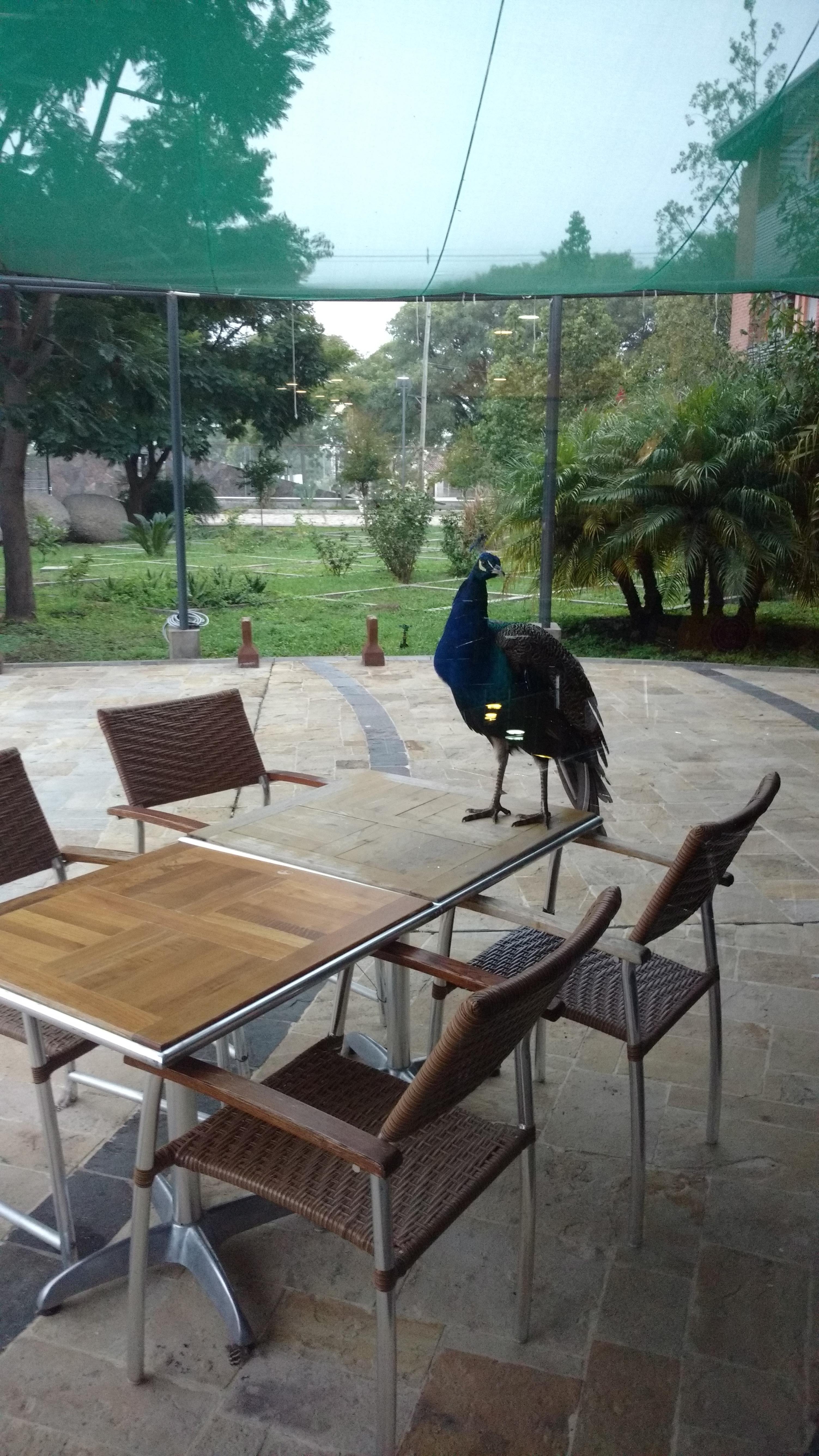 Hotel Alto Del Camino-家庭/游戏区