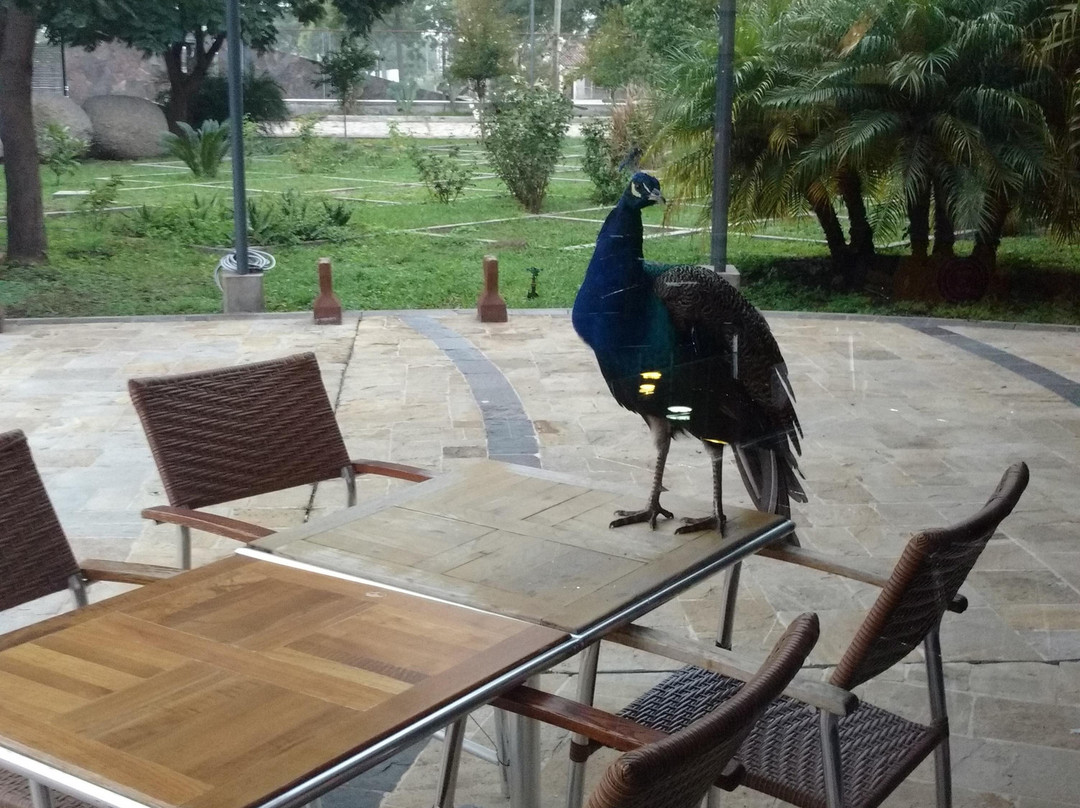 Hotel Alto Del Camino主图