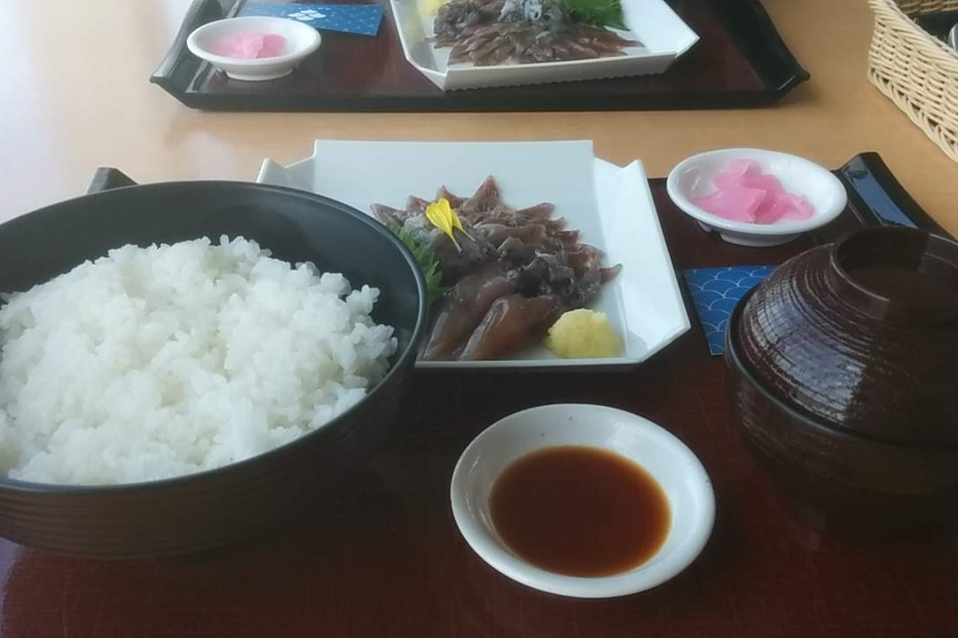 Firefly Squid Museum-滑川市必去景点