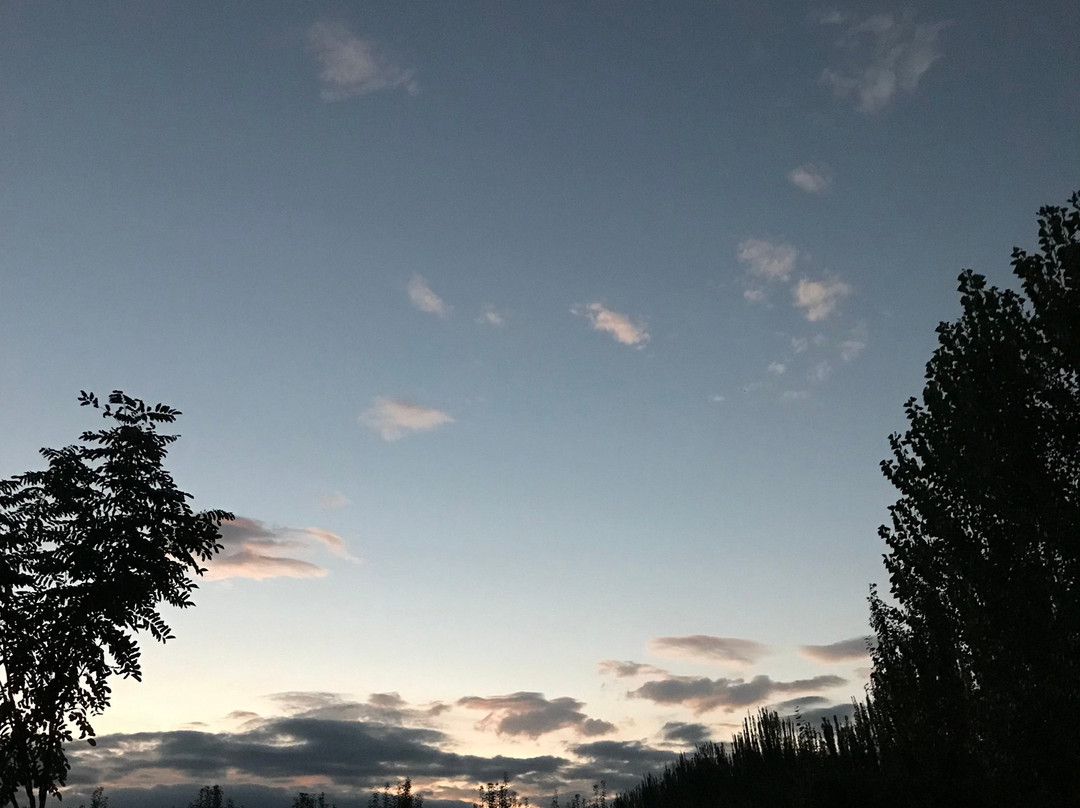 Finca La Clementina主图