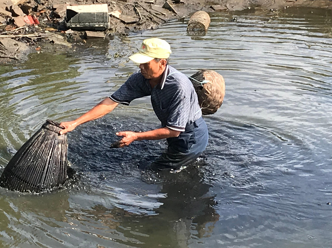 Hoi An Rural Discovery Tours-会安必去景点
