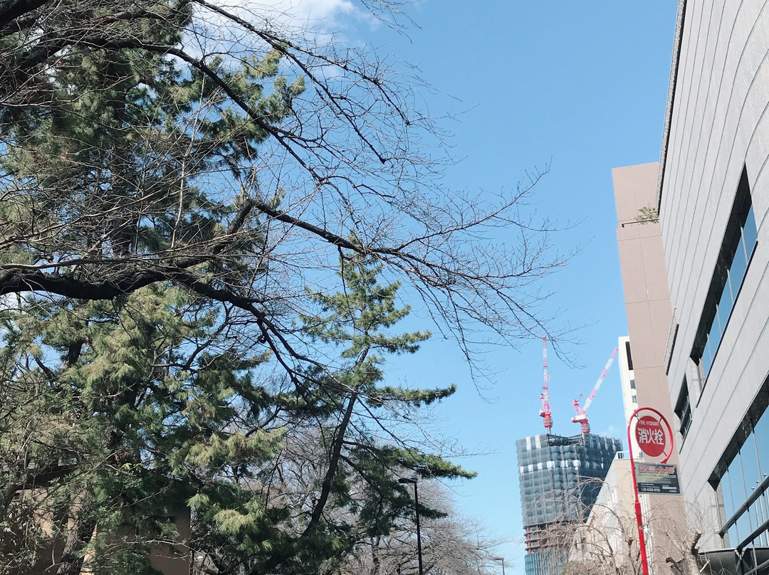 Sophia University-千代田区必去景点