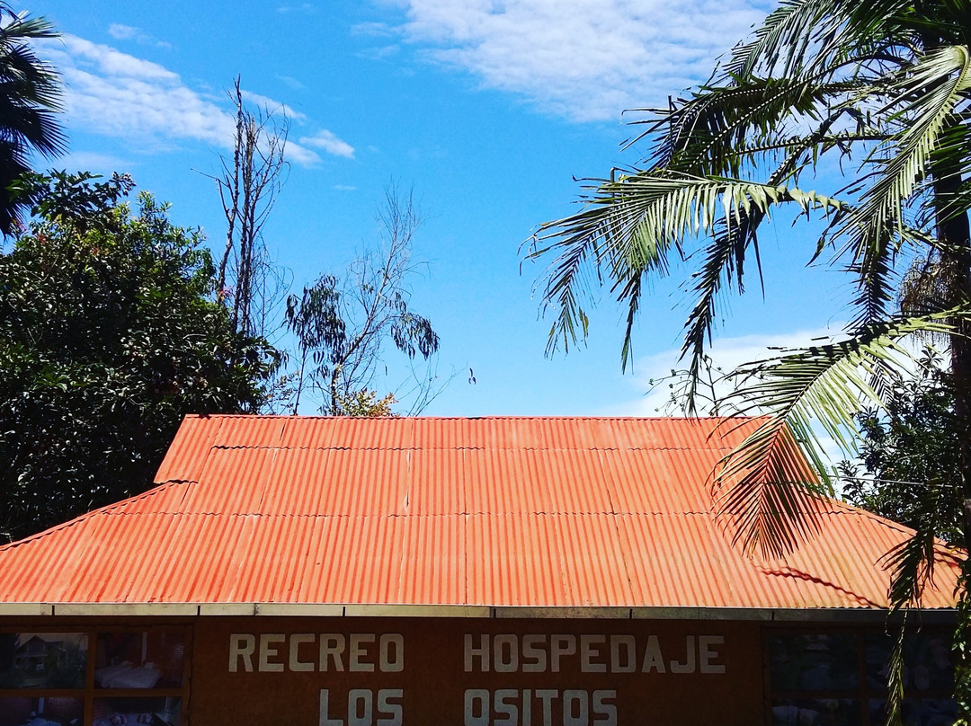 Los Ositos Recreo y Hospedaje