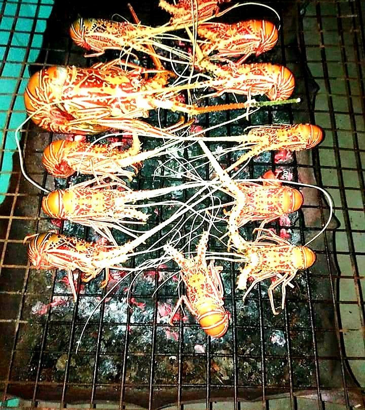 Ziyaaraifushi Island餐馆和美食-Thoddoo Cafe