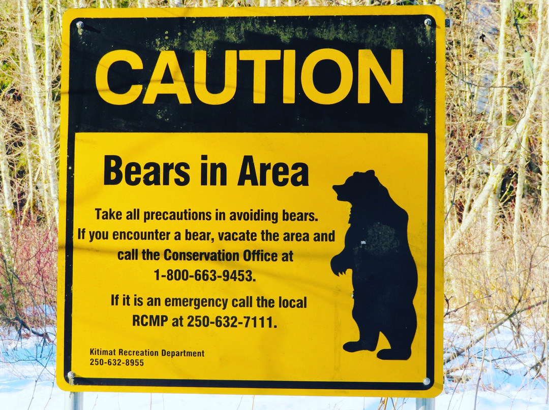 Giant Spruce Park-Kitimat必去景点