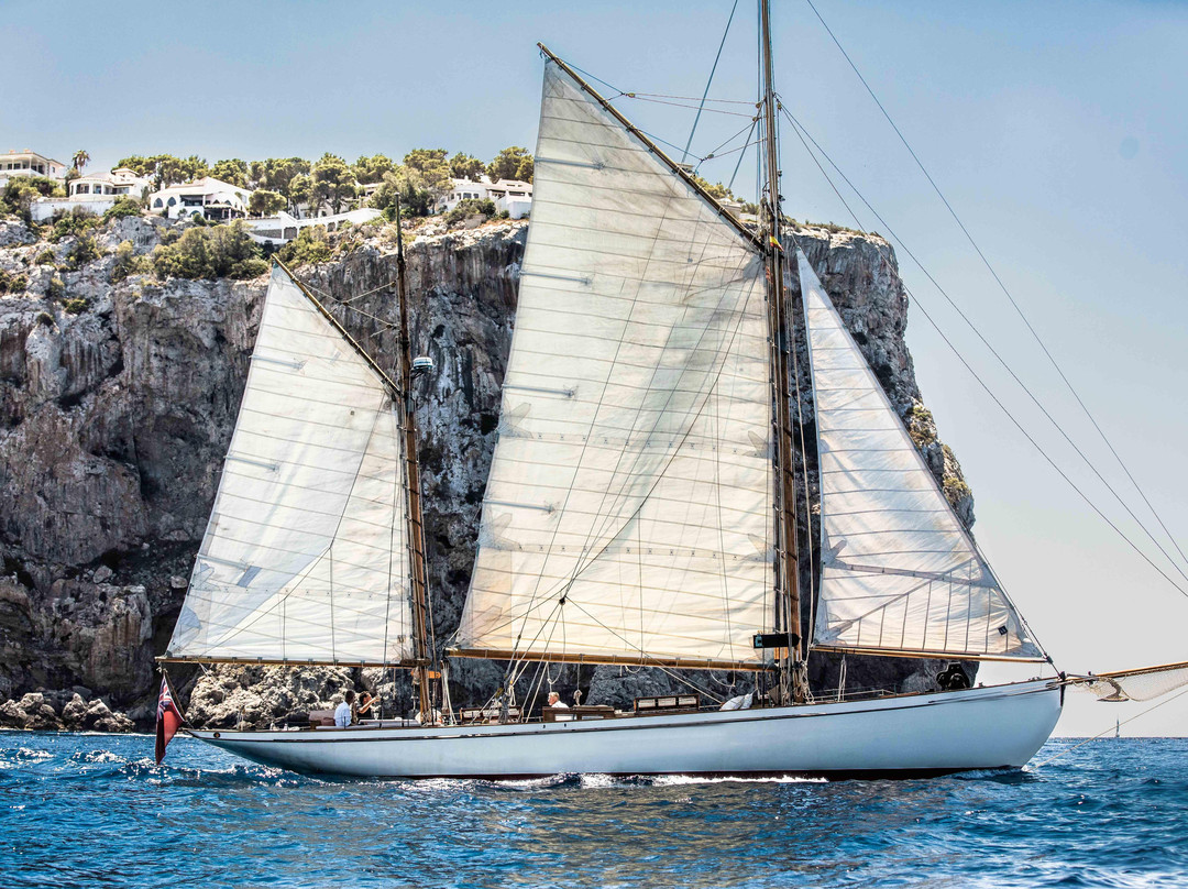 Owl 1909-Port d'Andratx必去景点