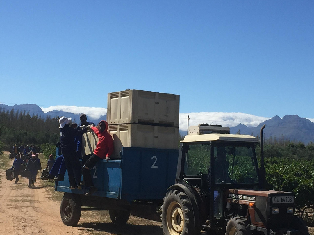 Picturesque Tours-Goodwood必去景点