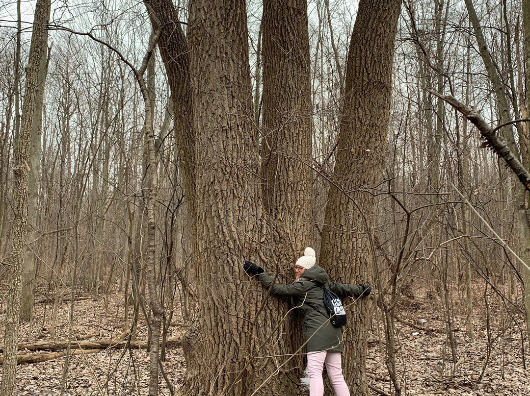 Rotary Park-利沃尼亚必去景点