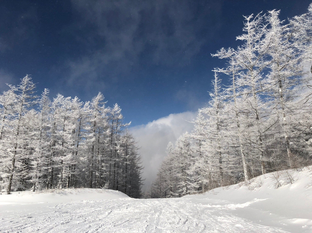 Yunomaru Ski Area景点图片