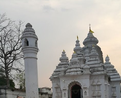 Jagannath Mandir景点图片